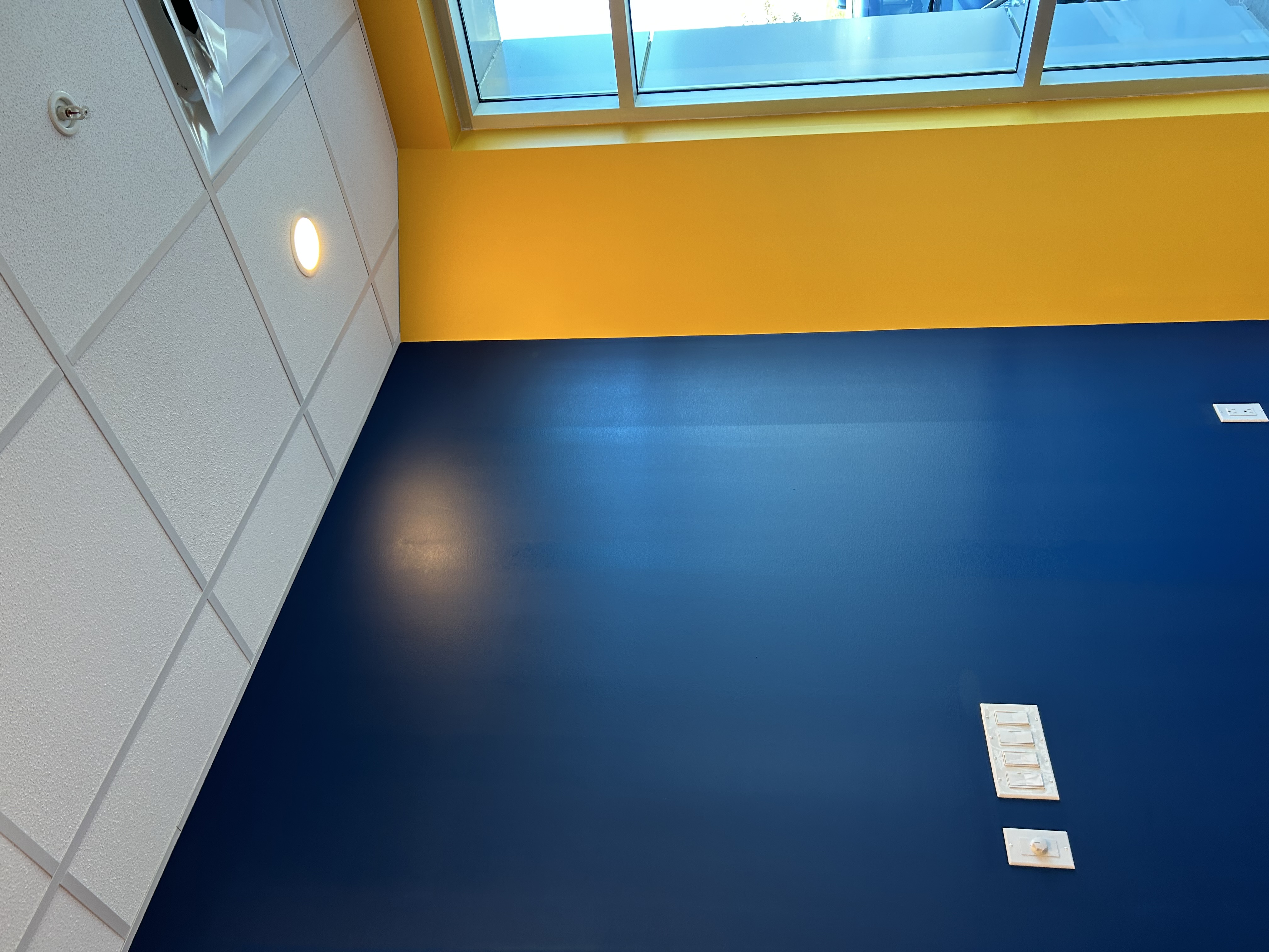 Ego Painting Project